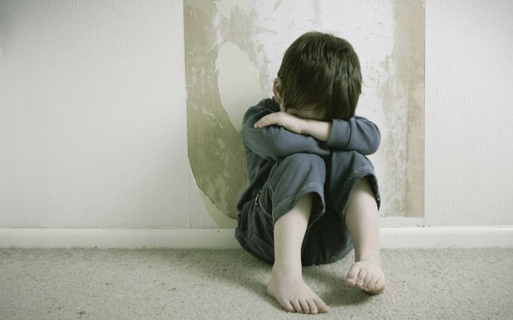 Gobierno C-LM prepara un modelo de Acogimiento Familiar que actualice su metodología a los cambios sociales