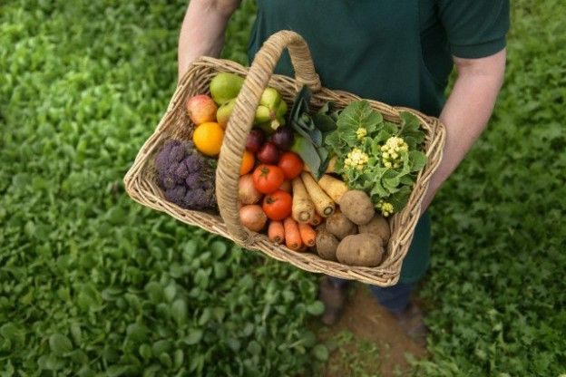 UPA señala que los agricultores 