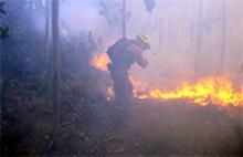 Entra en vigor la prohibición de hacer fuego y quemar restos vegetales en el medio rural hasta el día 31