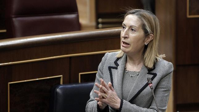 Pastor interrumpe el Pleno por una disputa entre diputados del PP y de Podemos