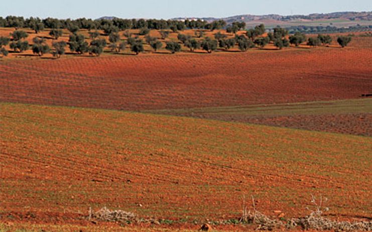 La candidatura de Campo de Montiel a Patrimonio de la Humanidad de la Unesco buscará abrirse a otros lugares comunes