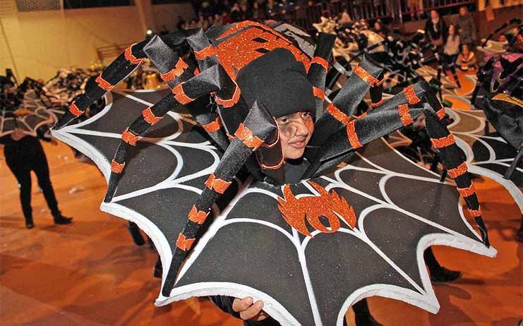Sigüenza se prepara para vivir el Carnaval