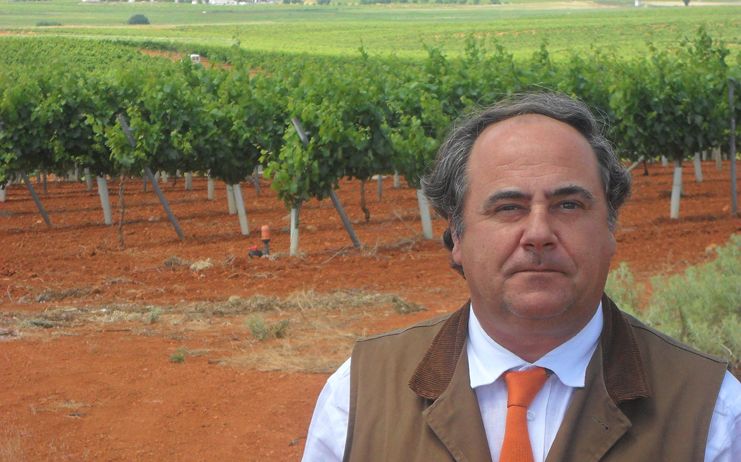 Fenavin 2017 acogerá el doble de bodegas ecológicas que en la anterior edición