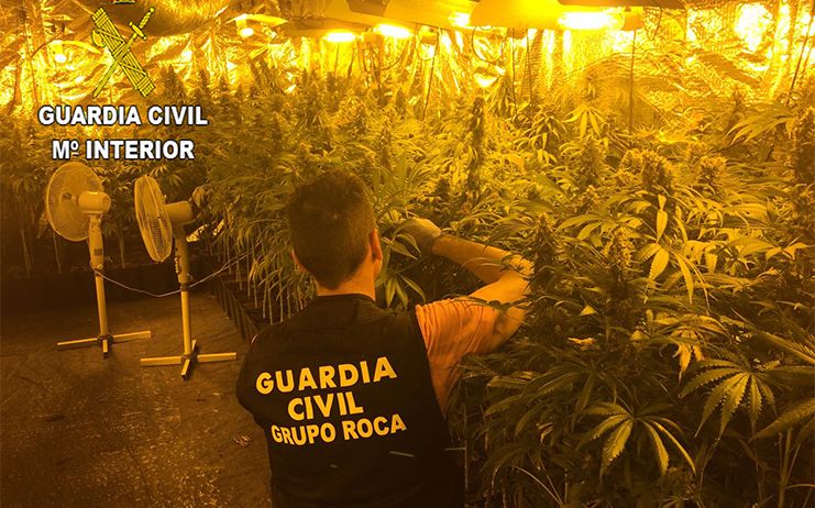 La Guardia Civil detiene a tres personas con una plantación profesional de marihuana en Guadalajara