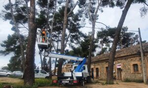 El Ayuntamiento destina 85.000 euros a un vehículo con plataforma telescópica para mejorar el servicio de parques y jardines