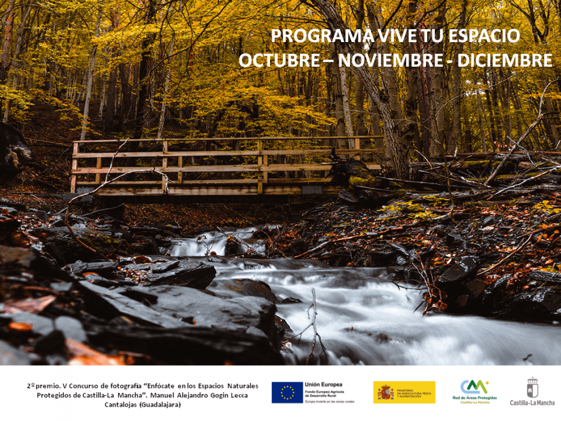 El Gobierno regional organiza más de 50 actividades gratuitas para este otoño a través del programa de educación y sensibilización ambiental ‘Vive tu Espacio’