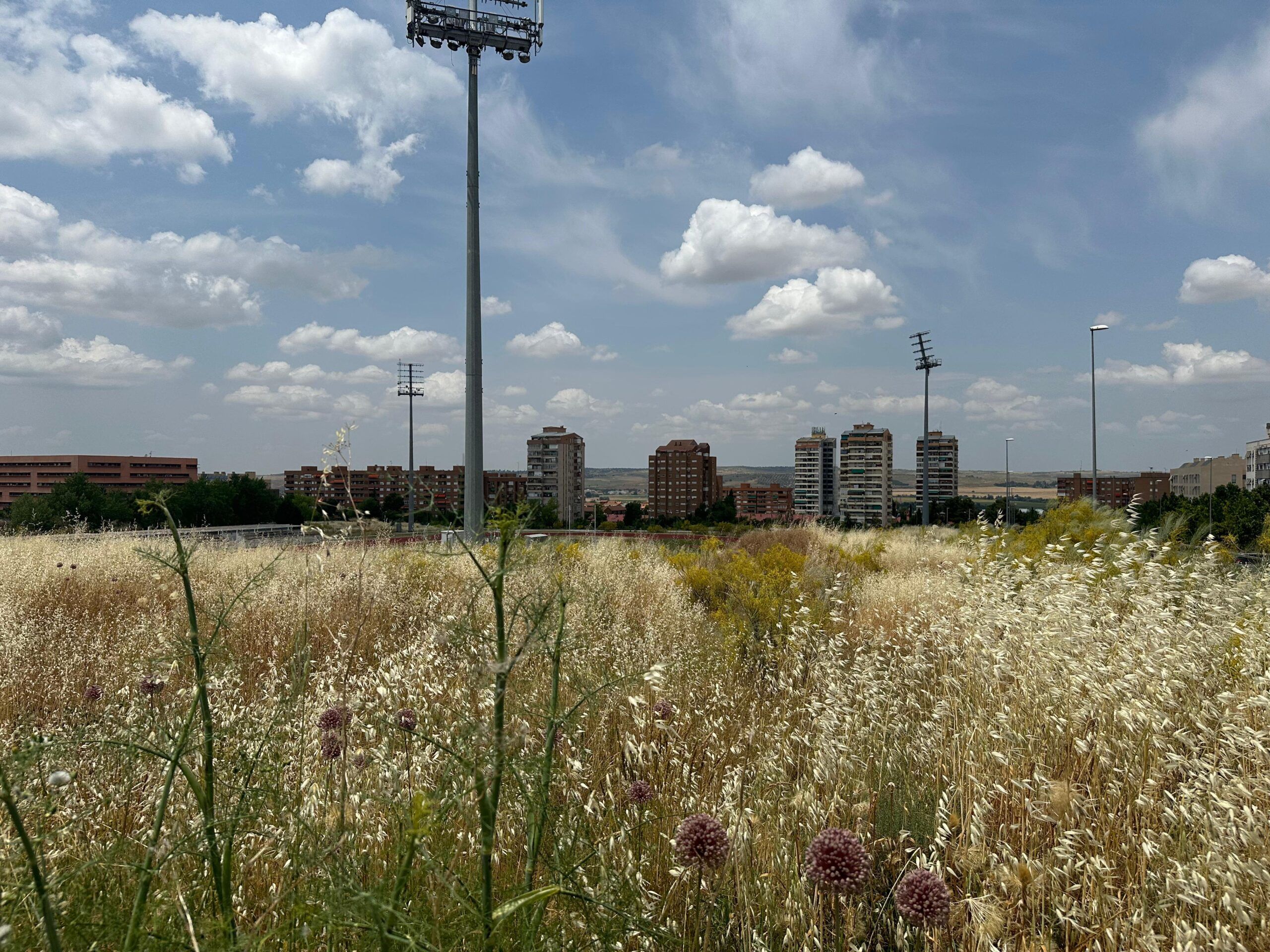 El gobierno de Velázquez presume de 