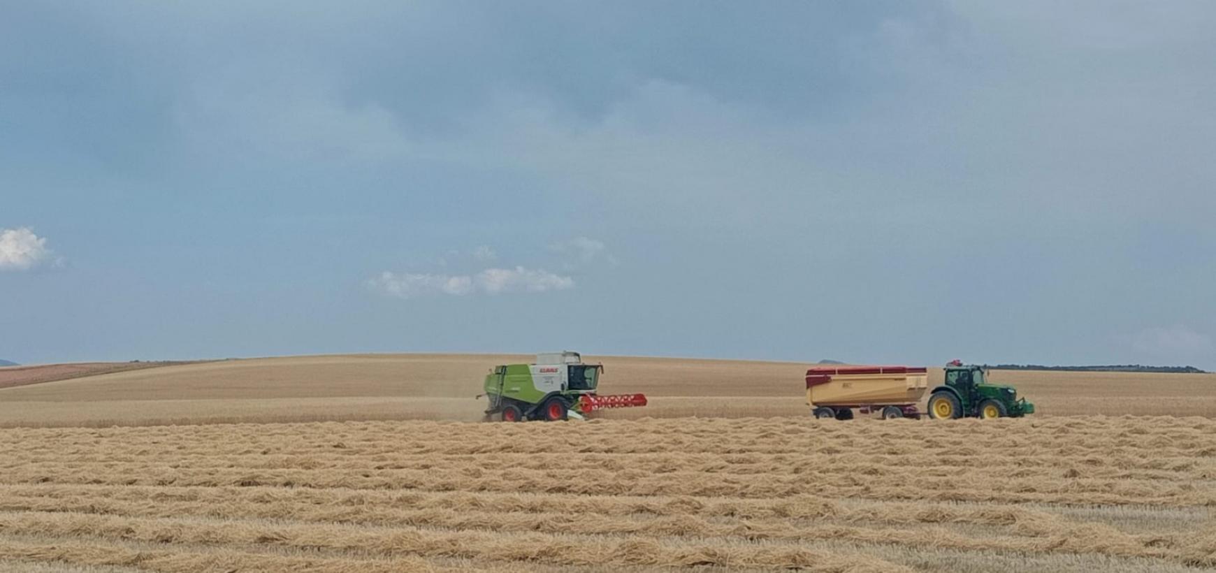 El Gobierno regional pone en valor la evolución de la regulación de las medidas preventivas frente a los incendios forestales bajo criterios técnicos