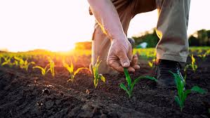 agricultura (1)