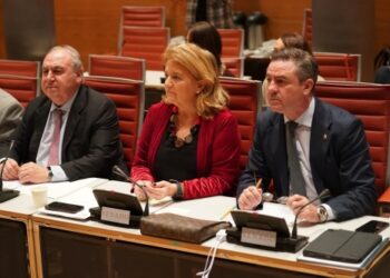 El PP de Cuenca lamenta que Torralba evitara condenar la corrupción y centrara su intervención en polémicas ajenas al objeto de la comisión