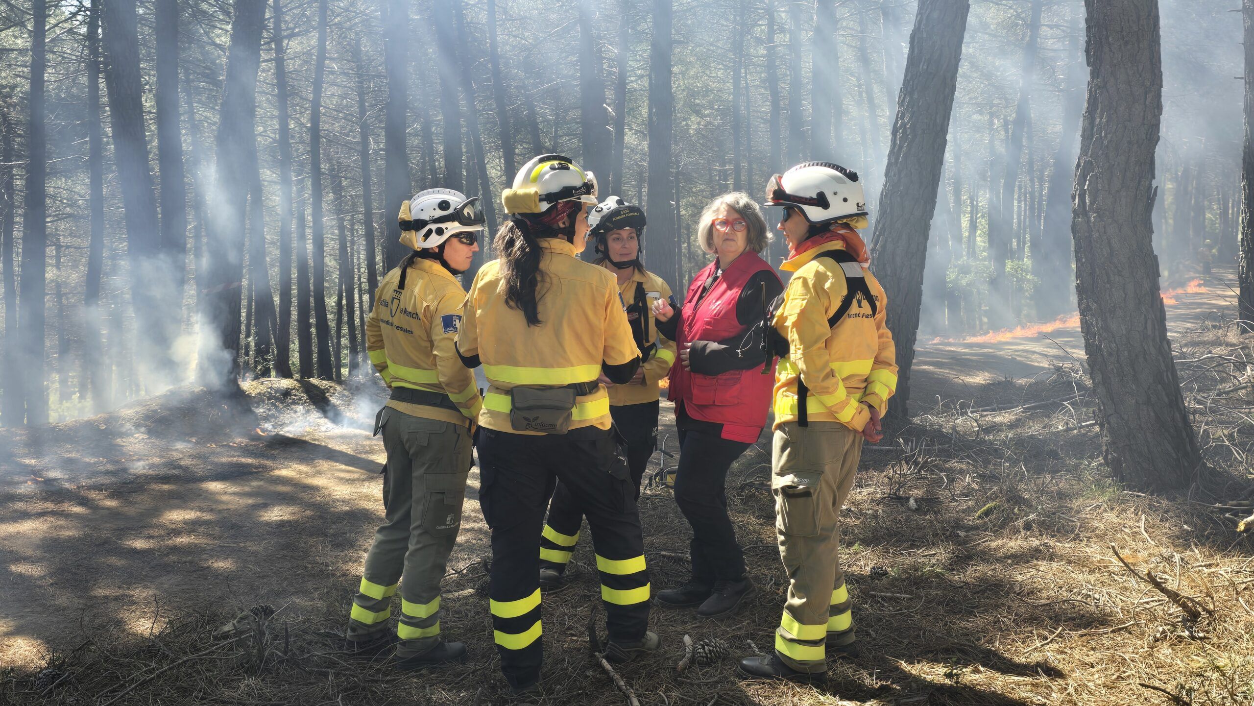 C-LM destaca la importancia de trabajos preventivos para minimizar potenciales riesgos de incendios forestales