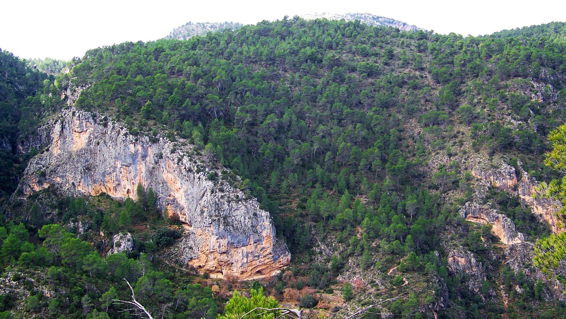El Gobierno de Castilla-La Mancha aprueba el Plan Director de la Red Natura 2000 para reforzar la conservación de su patrimonio natural