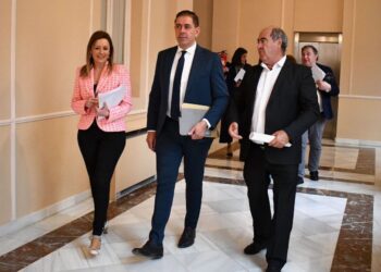 El Grupo Socialista propone un plan provincial de vivienda con 8 millones de euros para facilitar el acceso a la vivienda en los pueblos de Ciudad Real
