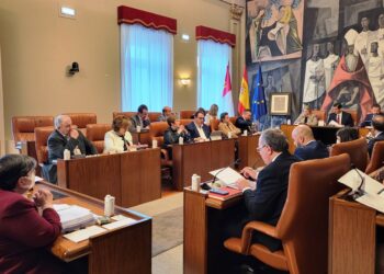 El Grupo Popular vota en contra de los presupuestos y ofrece medidas con propuestas concretas para que la provincia crezca, convirtiéndose en la verdadera alternativa de gobierno para la próxima legislatura