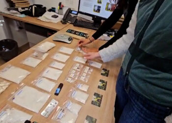 31 detenidos y 300.000 dosis incautadas en el mayor operativo en España contra la “flakka”