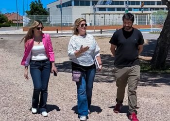 PSOE Alovera asegura que este Pleno demuestra la “falta de transparencia, la pésima gestión económica y la baja ejecución presupuestaria del Consistorio”