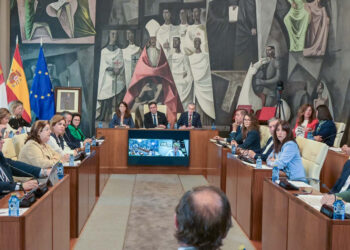 La Diputación de Ciudad Real aprueba ayudas para ayuntamientos, clubes deportivos, eventos culturales y promoción turística de la provincia