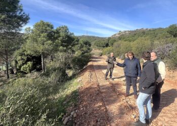 El Gobierno de García-Page convoca ayudas para tratamientos selvícolas con el objetivo de favorecer la conservación y mejora de las masas forestales”