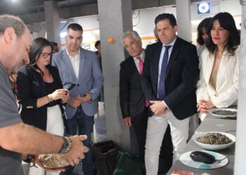Blanca Fernández destaca el “momento histórico” que vive el sector turístico en la provincia de Ciudad Real tras superar el récord de viajeros