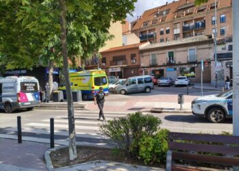 El PSOE solicita un plan de actuación urgente para evitar los atropellos en el Paseo de la Rosa