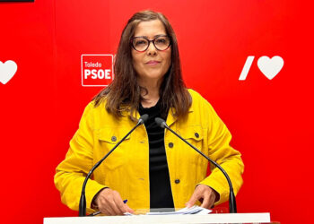 Velázquez se niega a reforzar la prevención frente a las plagas mientras las ratas vuelven a aparecer por los barrios de Toledo