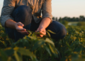 La Solana suma una nueva FP Básica ligada al sector agropecuario en el Centro Cibeles. Será gratuita