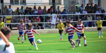 El fútbol base reunió talento y convivencia en el torneo nacional del CF La Solana