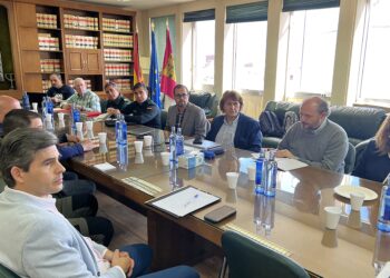 El Gobierno de Castilla-La Mancha intensifica las medidas para frenar la sobrepoblación de conejos de monte con 95.552 capturas en Ciudad Real