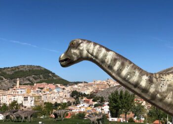 El Gobierno regional celebra el Día Internacional de los Museos con actividades en el Museo de Cuenca, el Museo de las Ciencias y el MUPA