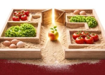 El Gobierno mantiene abierto el plazo para participar en la segunda edición del Sandbox AgriFoodTech
