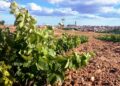 El Ayuntamiento denuncia agravio comparativo en las reducciones fiscales al campo de la provincia