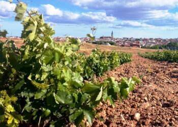 El Ayuntamiento denuncia agravio comparativo en las reducciones fiscales al campo de la provincia