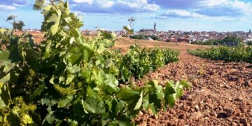El Ayuntamiento denuncia agravio comparativo en las reducciones fiscales al campo de la provincia
