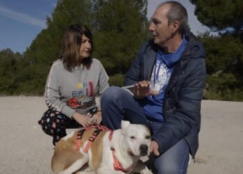 ‘Emperrados’ muestra el compromiso de la Diputación de Albacete con el bienestar animal y la adopción responsable a través de CMM