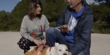 ‘Emperrados’ muestra el compromiso de la Diputación de Albacete con el bienestar animal y la adopción responsable a través de CMM