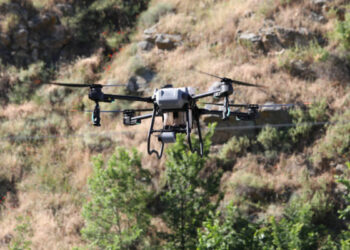 Medioambiente intensifica la lucha contra la mosca negra con un tratamiento mediante drones en las riberas del Tajo