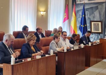 La Diputación provincial aprueba la creación de una Comisión de Seguimiento de FENAVIN propuesta por el Grupo Popular