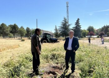 Se intensifican los trabajos de acondicionamiento para garantizar el buen desarrollo de la Romería