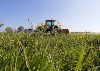 Sin fertilizantes, no hay cosecha. Y sin cosecha, no hay Europa