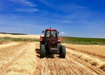 El Supremo frena a Hacienda y protege a los agricultores en módulos: las compensaciones del IVA no cuentan como ingresos