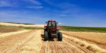 El Supremo frena a Hacienda y protege a los agricultores en módulos: las compensaciones del IVA no cuentan como ingresos