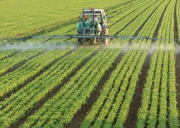 La mayoría de los fitosanitarios utilizados por los agricultores españoles son fungicidas y bactericidas, el 54 % del total