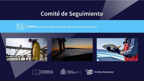 Seguimiento del programa financiero del FEMPA Seguimiento del programa financiero del FEMPA