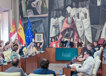 El Pleno de la Diputación aprueba más de 306.000 euros en subvenciones nominativas y adelanta 1,3 millones al Consorcio del RSU