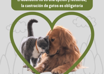17/06/2026
Medio Ambiente
El Ayuntamiento de Torrijos llama a la concienciación ante el aumento del abandono animal
EL AYUNTAMIENTO DE TORRIJOS LLAMA A LA CONCIENCIACIÓN ANTE EL AUMENTO DEL ABANDONO ANIMAL El Consistorio local recuerda que el abandono de perros …