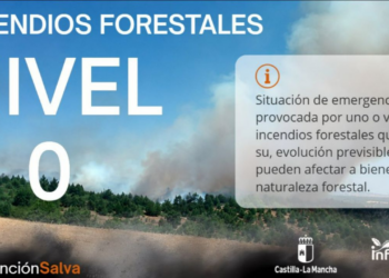 Extinguido el incendio forestal declarado en Brazatortas (Ciudad Real)