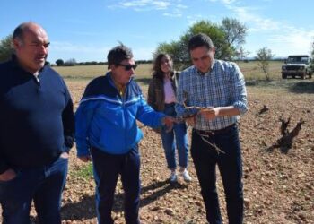 La Diputación destina cerca de 320.000 euros para apoyar el control de la sobrepoblación de conejo de monte en 65 cotos de la provincia