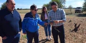 La Diputación destina cerca de 320.000 euros para apoyar el control de la sobrepoblación de conejo de monte en 65 cotos de la provincia