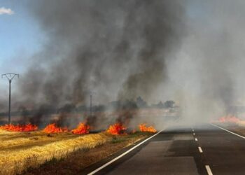 El Ayuntamiento apela a la responsabilidad tras otro incendio en un rastrojo