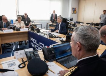 Marlaska asegura que la directora de la Guardia Civil le dijo que «no tuvo ningún contacto» con Leire Díez «relativo a la trama»